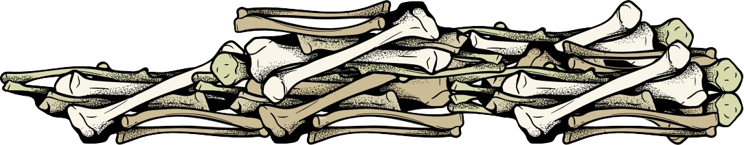 Bone Pile